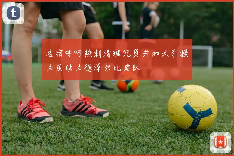 名宿呼吁热刺清理冗员并加大引援力度助力德泽尔比建队